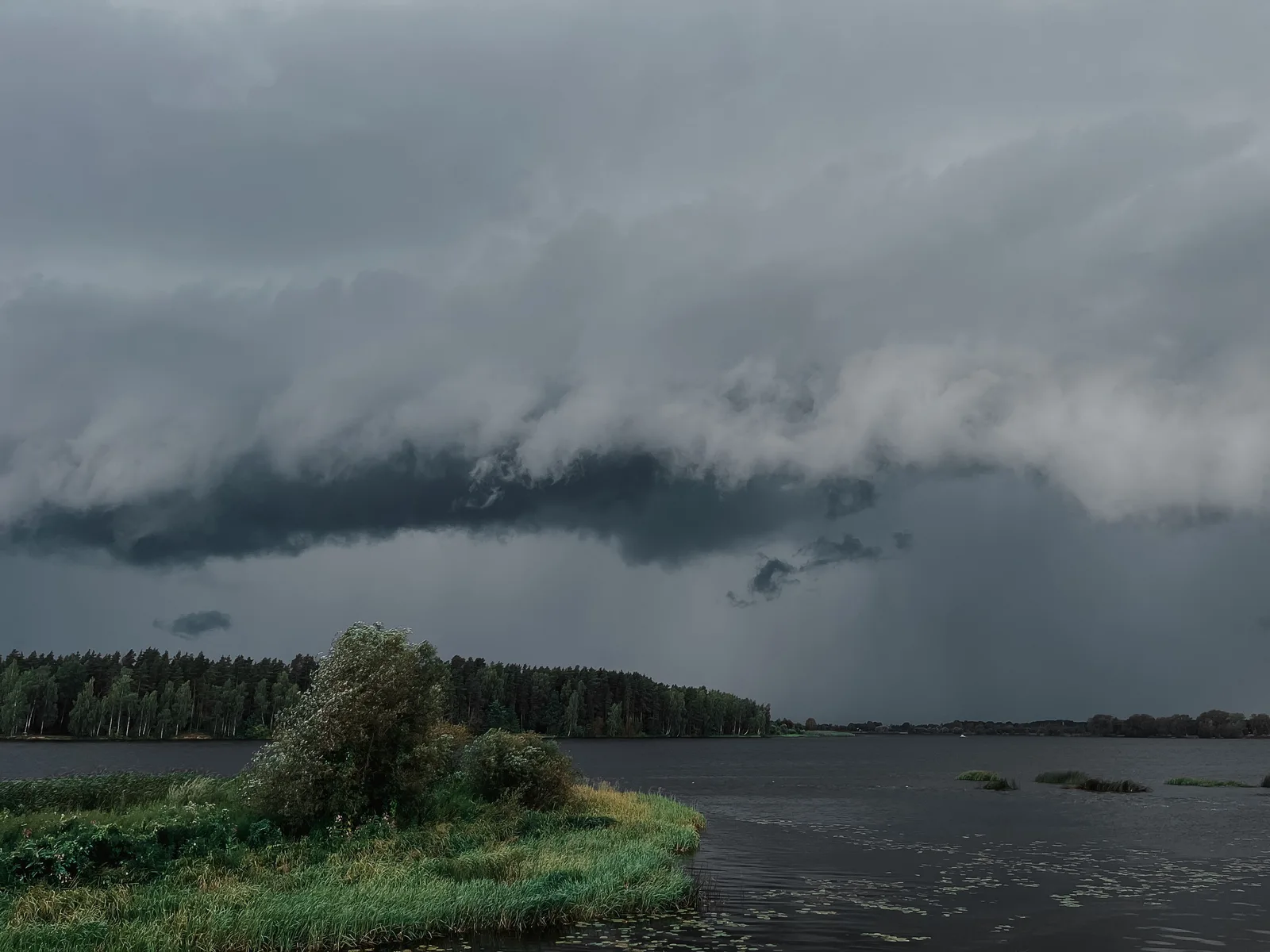 Dunkle Gewitterfront mit Regen zieht über einen See auf das schilfbestandene Ufer zu