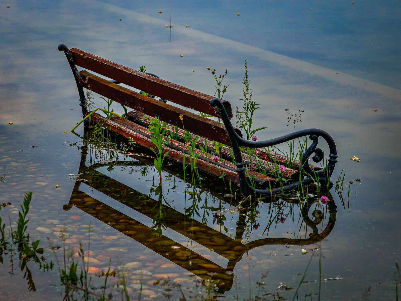 Wasserstand beim Angeln: Wie der Pegel das Beißen steuert