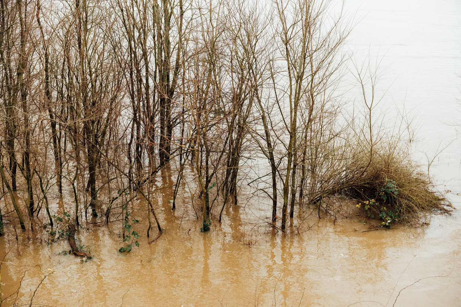 Hochwasser, das über die Ufer getreten ist und eine angrenzende Wiese überflutet