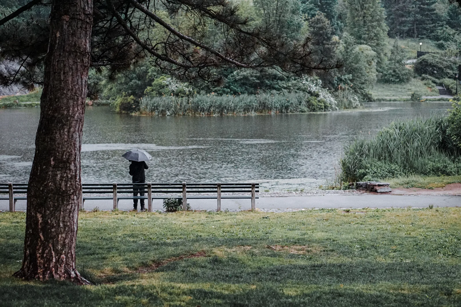 Angeln bei Regen: Warum es im Nassen oft am besten beißt