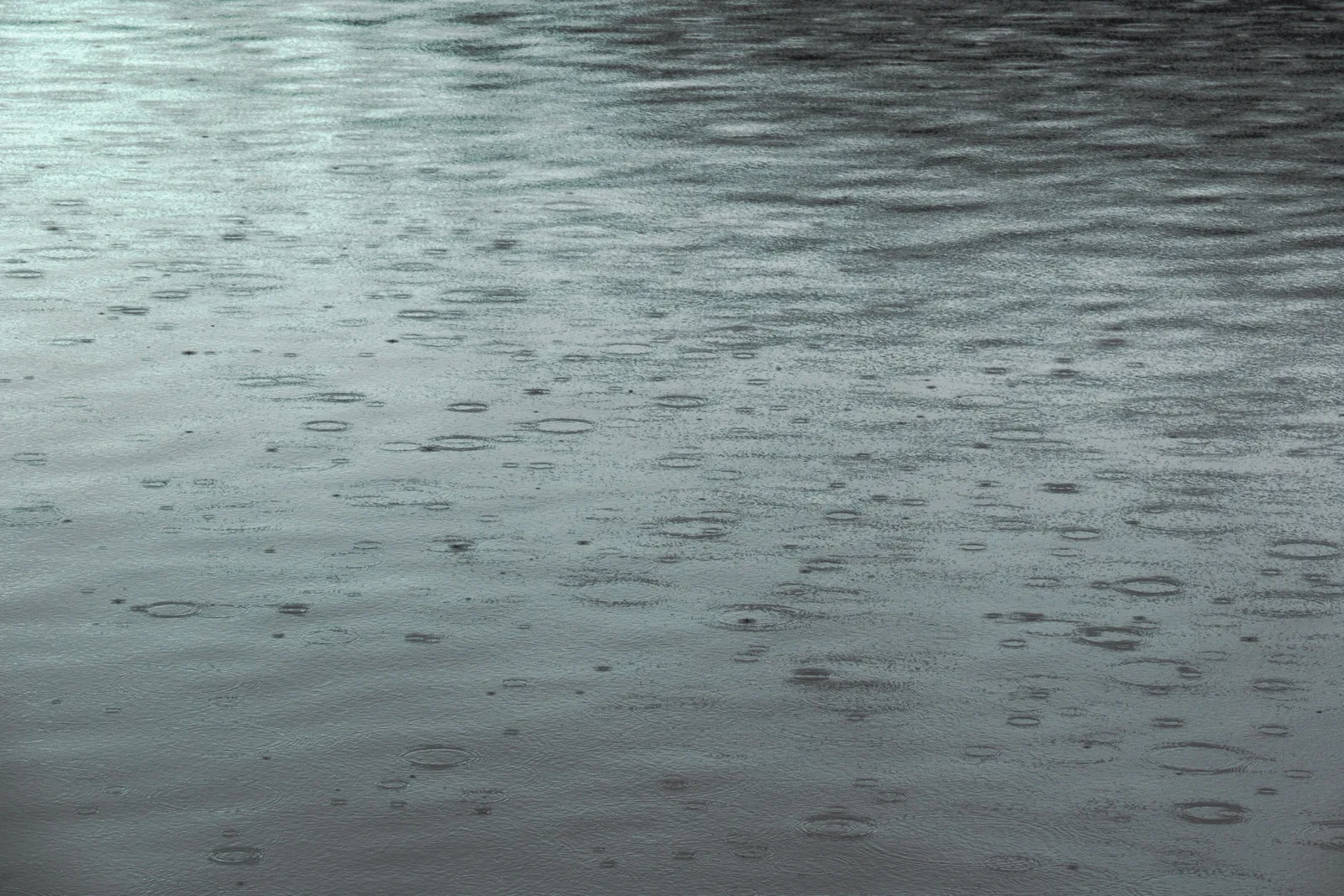 Regentropfen treffen auf eine Wasseroberfläche und bilden zahllose Ringe