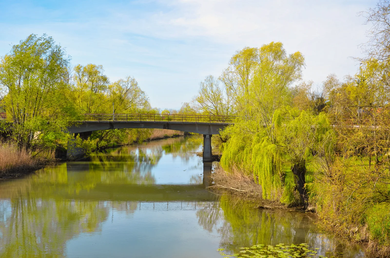 Fließender Fluss mit frischem Grün und einer Brücke – bewegtes Wasser reichert sich mit Sauerstoff an