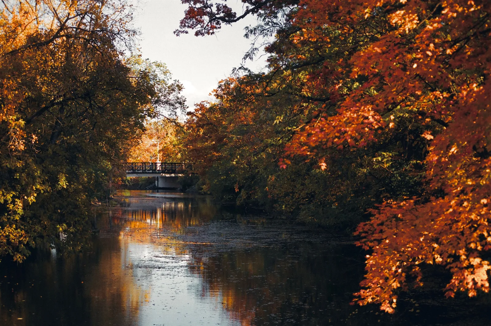 Fluss im Herbst mit leuchtend orange-rotem Laub und einer Brücke, Blätter treiben auf dem dunklen Wasser