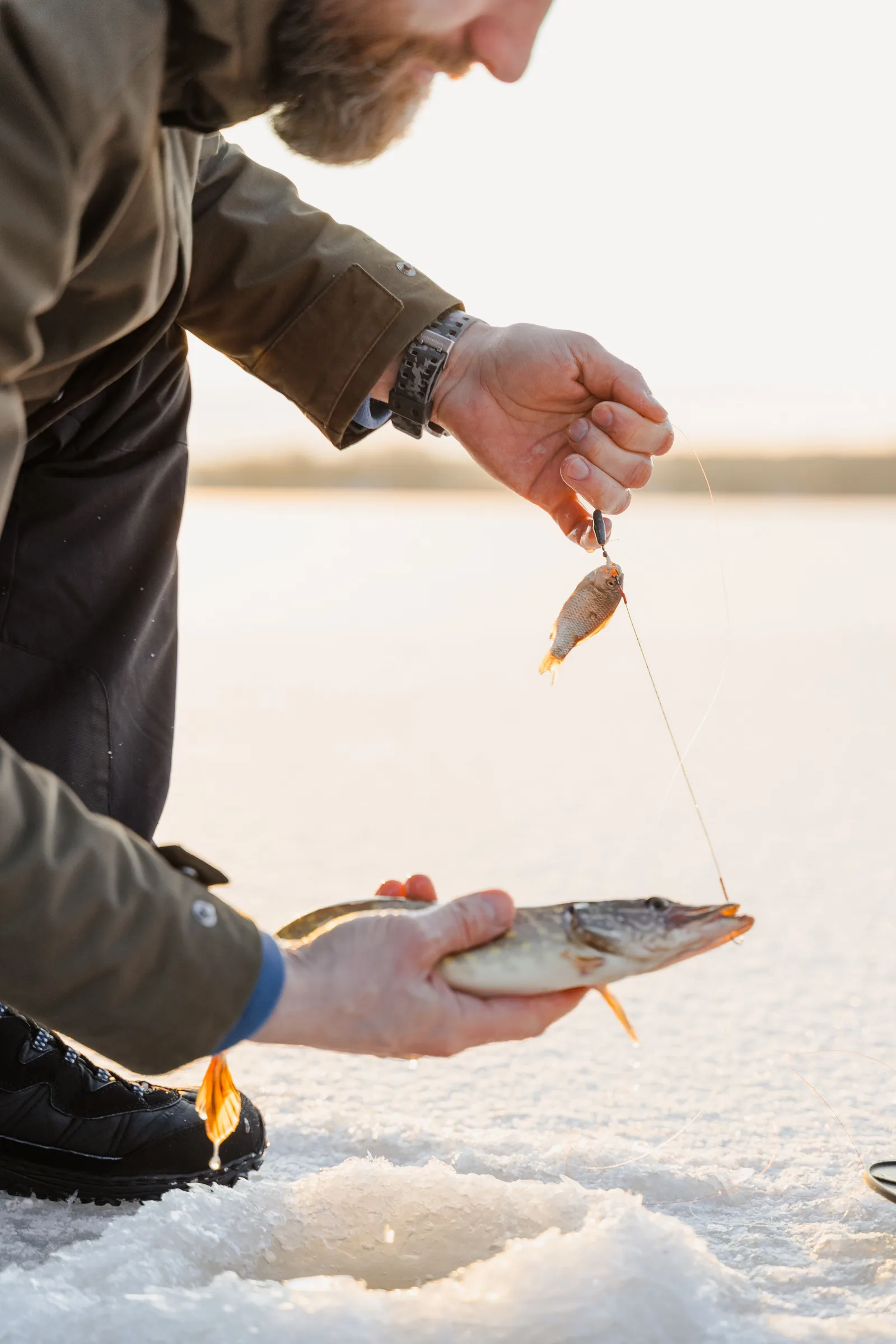 Angler auf dem Eis hält bei Sonnenuntergang einen kleinen Hecht und einen Köderfisch am Eisloch