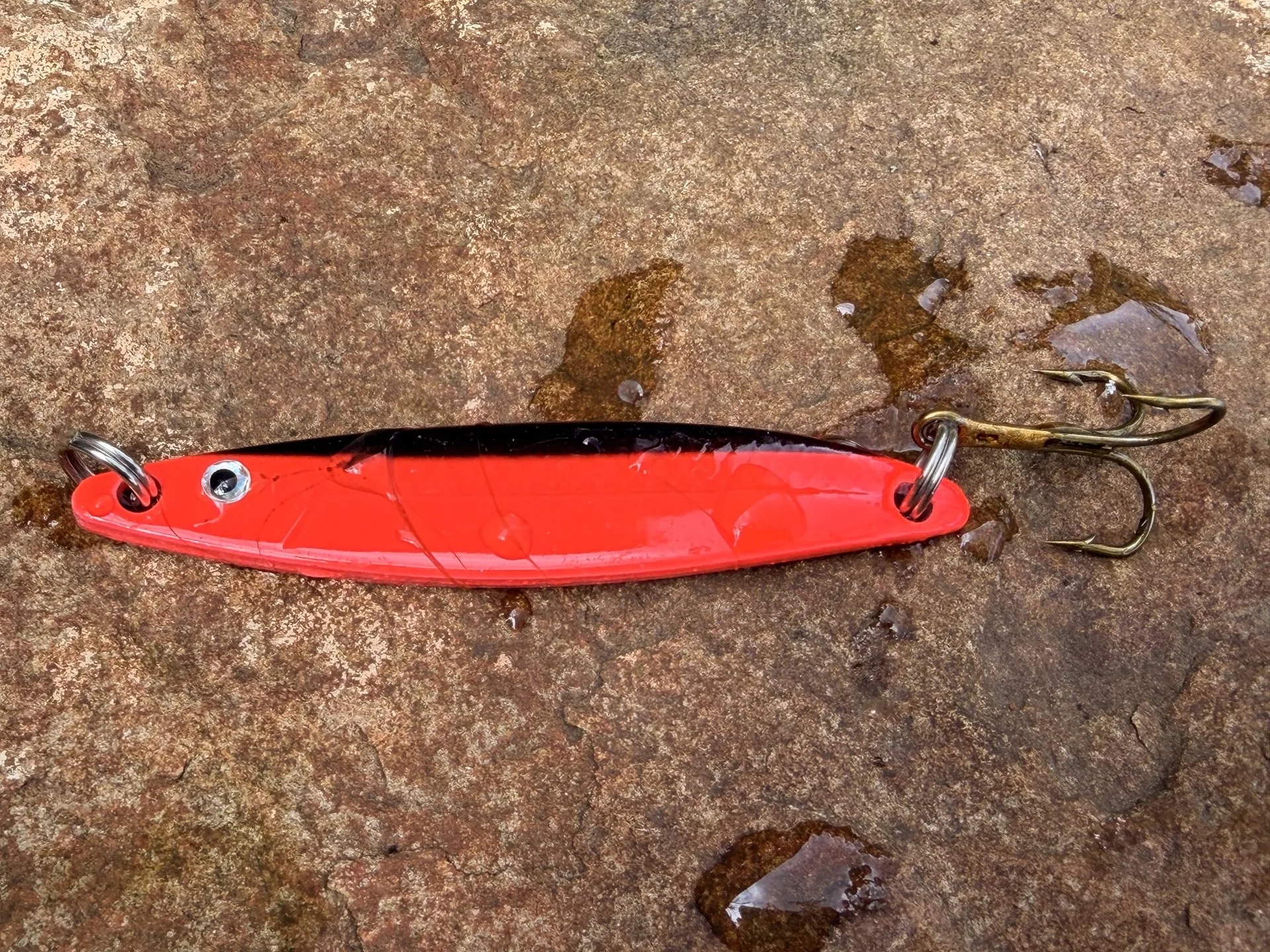 Rot-schwarze Blinker auf Meerforelle im Herbst – welche Rolle die Köderfarbe wirklich spielt
